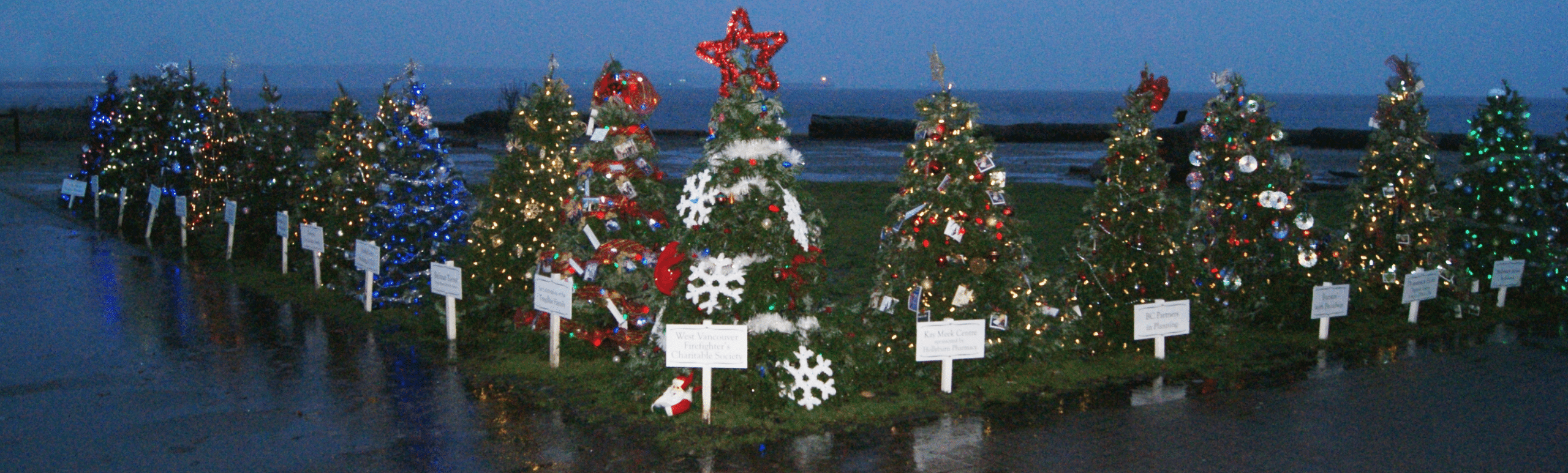 Dundarave Christmas Forest of Miracles