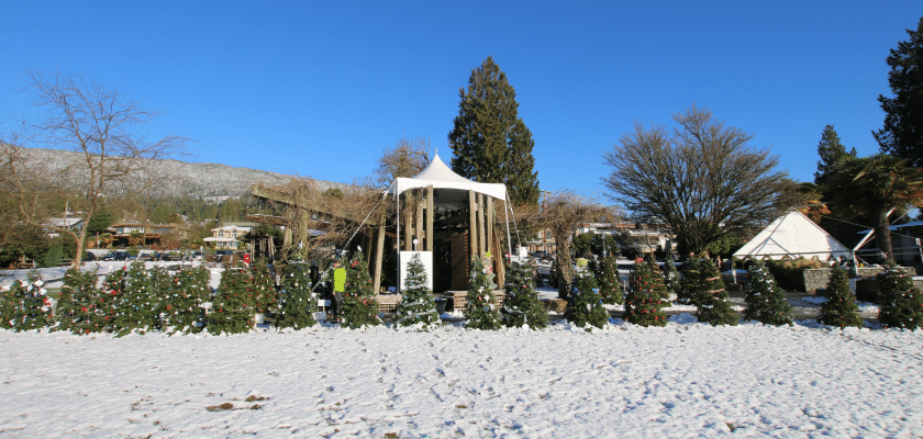 Dundarave in Winter